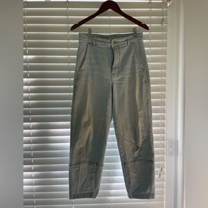 Size 28 regular Everlane barrel jeans